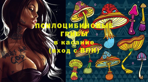 сатива Няндома