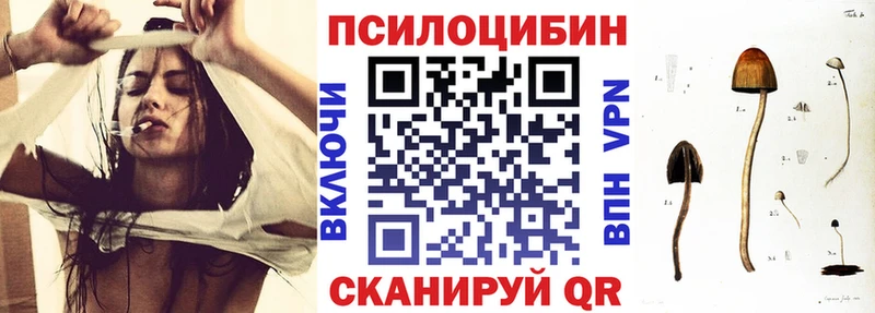 дарк нет как зайти  где купить наркоту  Спас-Клепики  Псилоцибиновые грибы Psilocybe 